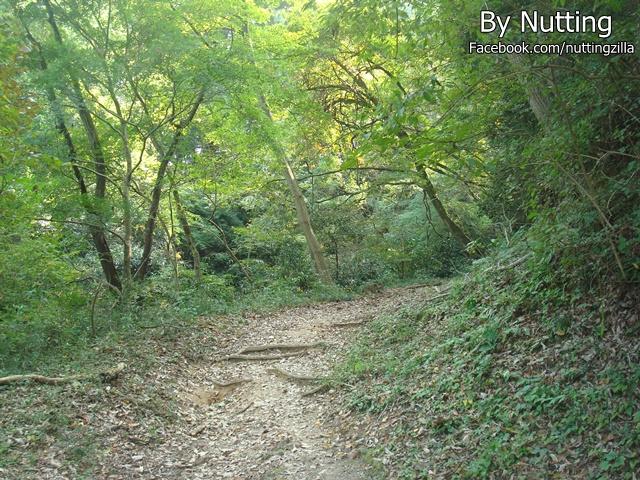 DSC03918.JPG